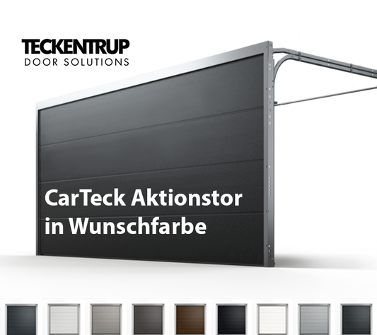 Teckentrup CarTeck Aktionstor - Designpaket - Ohne Sicke / Glatt